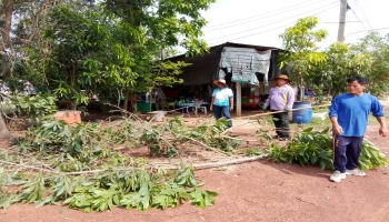 อบต.บ้านค้อ ออกพื้นที่ตัดกิ่งไม้ บริเวณสองข้างทาง ถนนทางเข้าอบต.บ้านค้อ